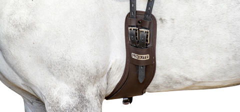 Standard Gauge elbow clearance